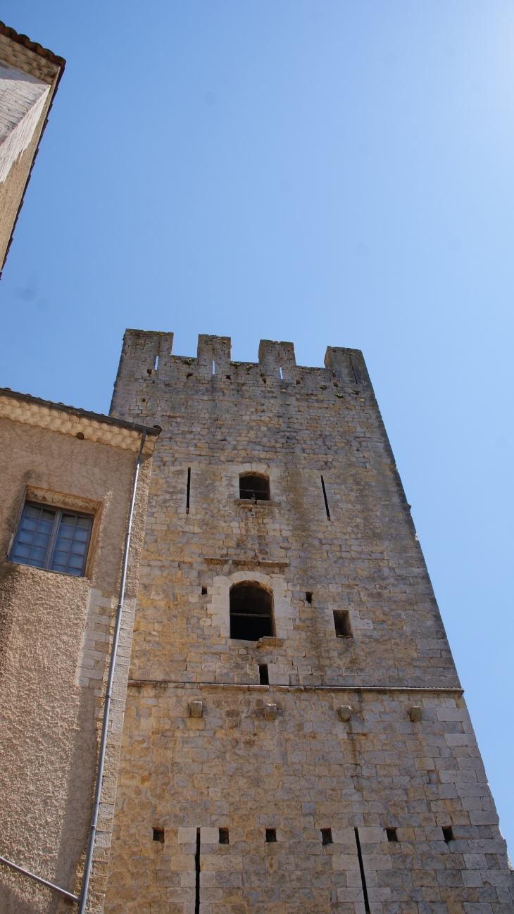 &Château D'Esparron 13 Em Siècle - Esparron-de-Verdon