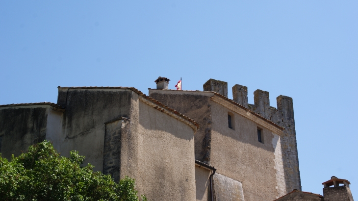 &Château D'Esparron 13 Em Siècle - Esparron-de-Verdon