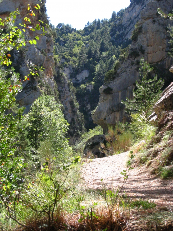 Dans les gorges de Trévans - Estoublon