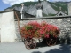 Photo précédente de Faucon-de-Barcelonnette Chariot Fleurit