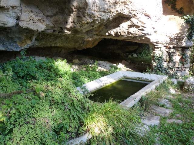 Lavoir désaffecté sous les fougères - Ganagobie