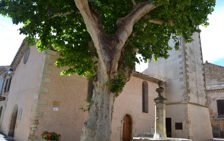 *église Saint-Pierre ( 1622 ) - Le Castellet