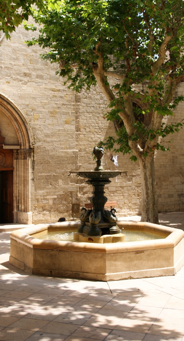 Fontaine Saint-Sauveur - Manosque