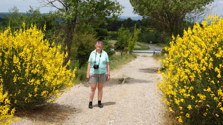 Chemin menant au Moulin - Montfuron