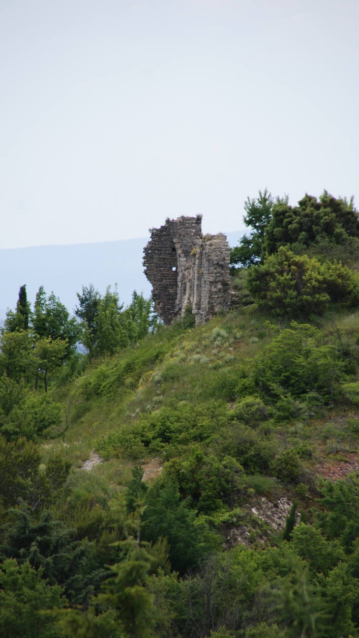 Ruines du Château de Montfuron