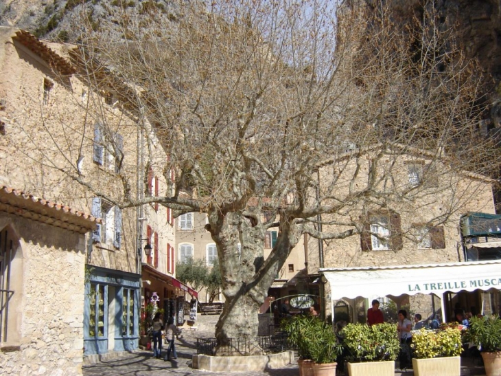 Dans le village - Moustiers-Sainte-Marie