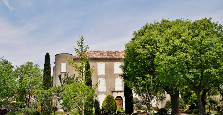 Château - Saint-Laurent-du-Verdon