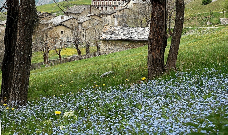 HAUTEVALEE DE L'UBAYE - Saint-Paul-sur-Ubaye