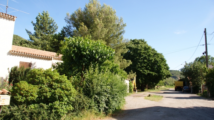 Le Bars commune de Valensole