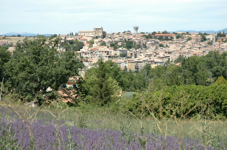  - Valensole