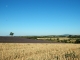 Photo suivante de Valensole Champ de Lavandin