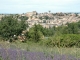 Photo suivante de Valensole 