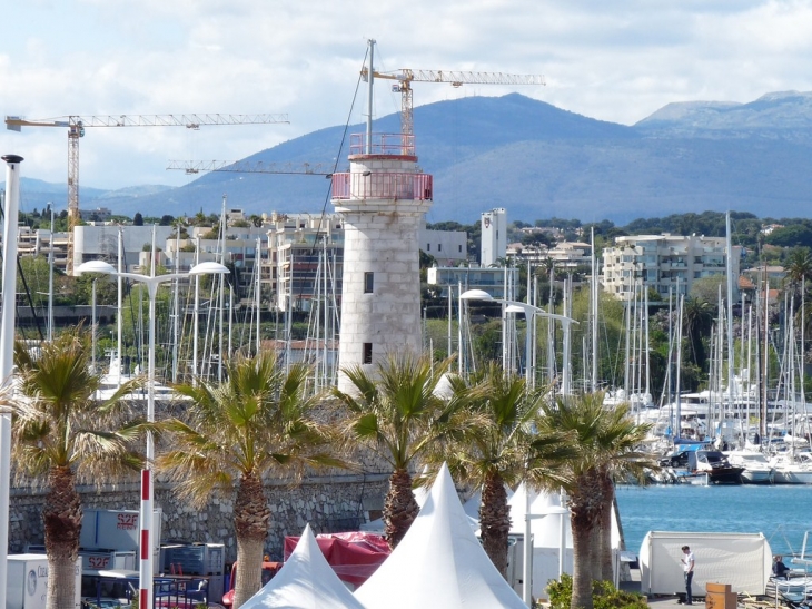 Le port - Antibes