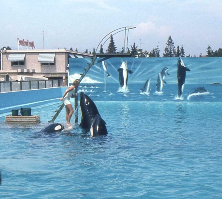 Au Marineland d'Antibes