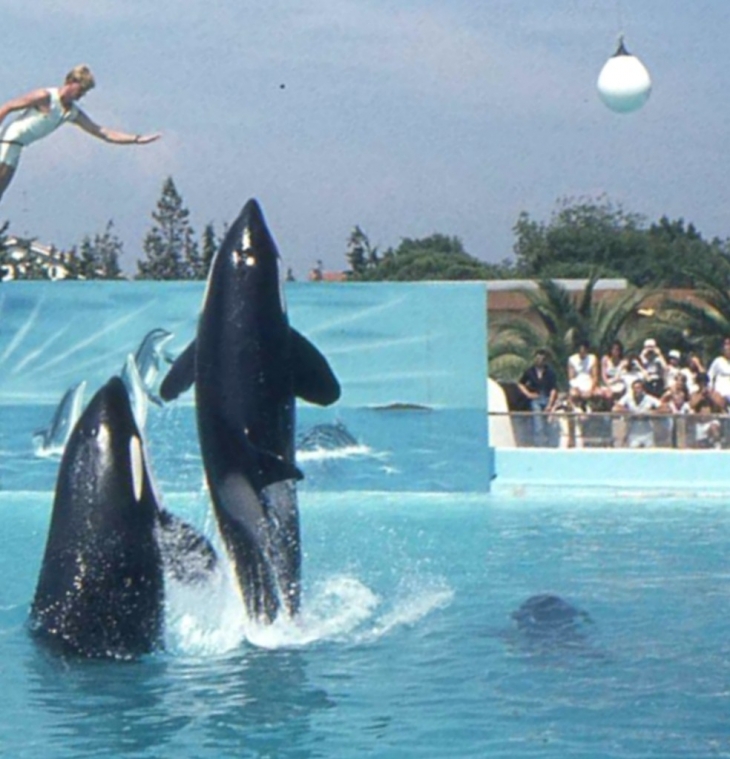 Au Marineland d'Antibes