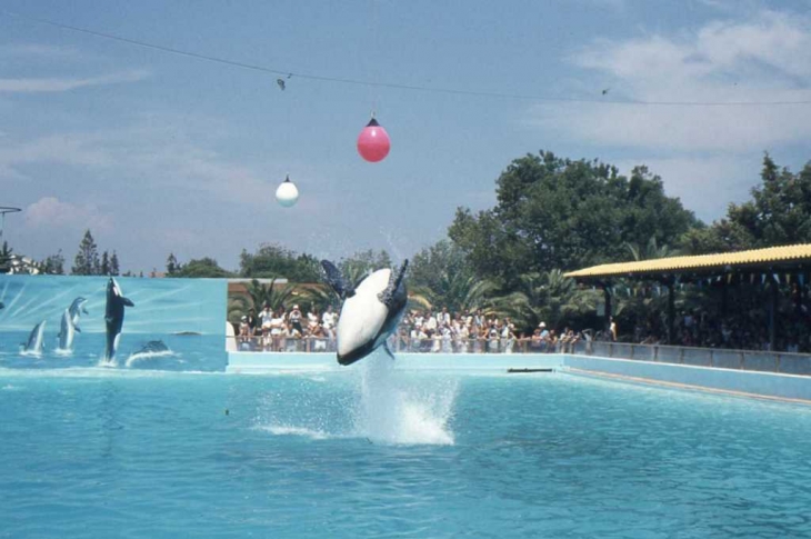 Au Marineland d'Antibes