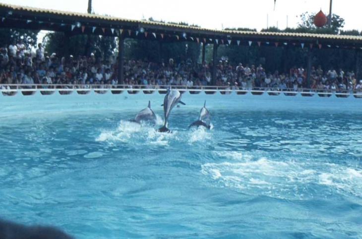 Au Marineland d'Antibes