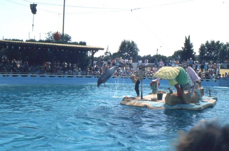 Au Marineland d'Antibes