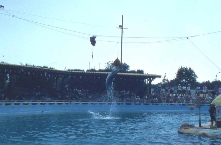 Au Marineland d'Antibes