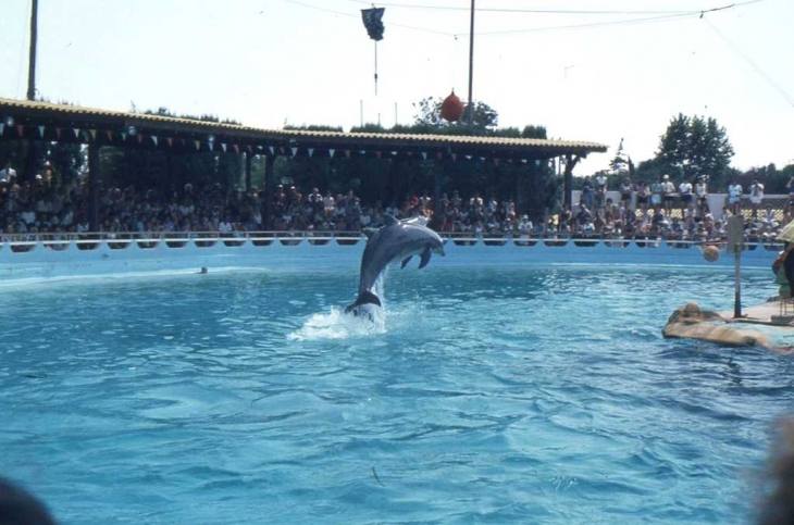 Au Marineland d'Antibes