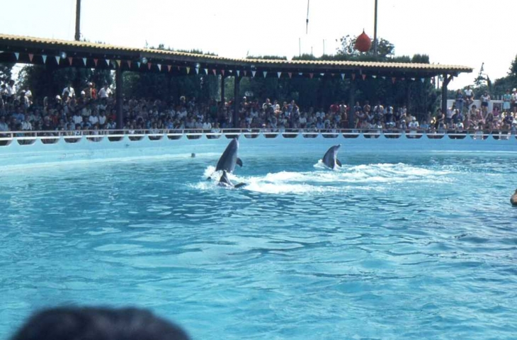 Au Marineland d'Antibes