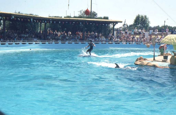 Au Marineland d'Antibes