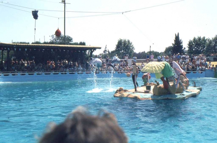 Au Marineland d'Antibes