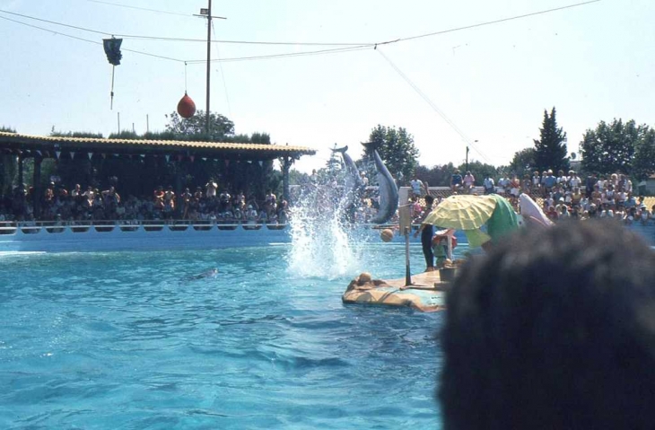 Au Marineland d'Antibes