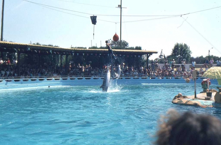 Au Marineland d'Antibes