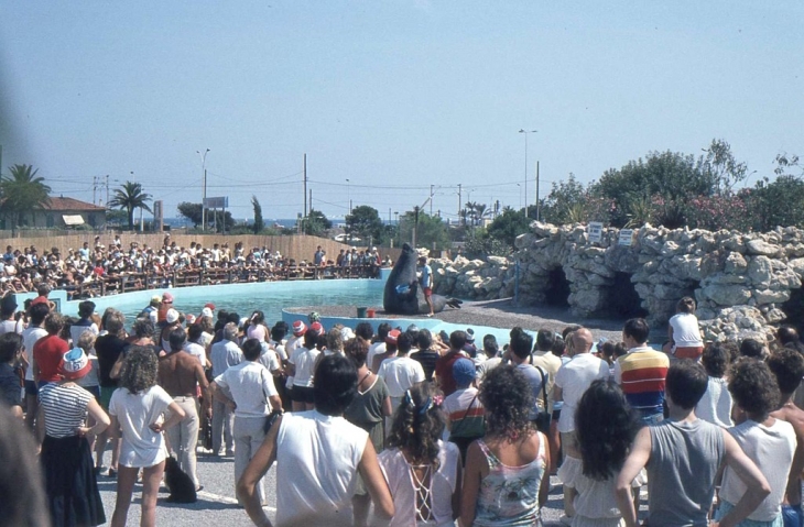 Au Marineland d'Antibes