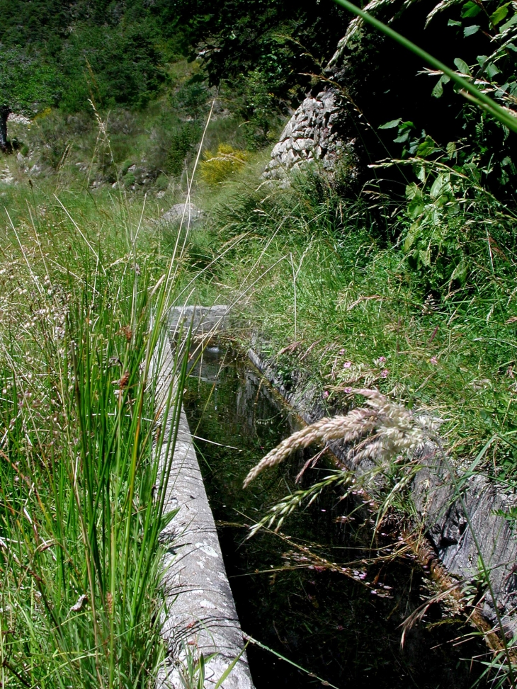 Ancien abreuvoir ; Moutons , vaches , mulets  . maintenant à l'abandon  - Bairols