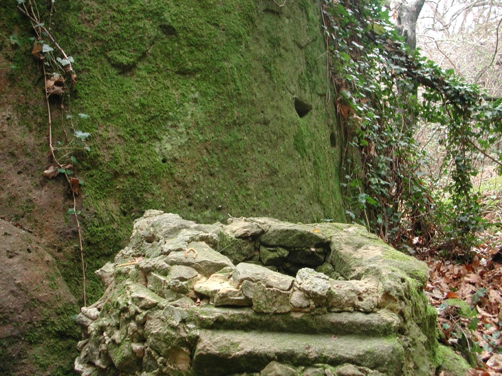 La source du pont des conquêtes  - Berre-les-Alpes