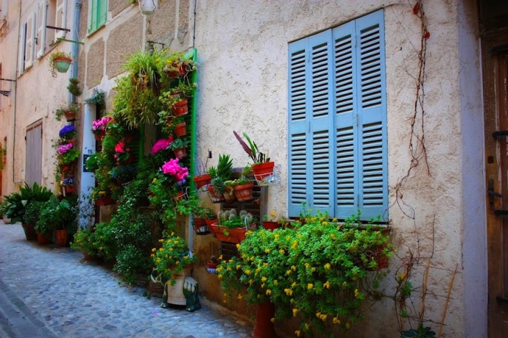 Ruelle fleurie - Biot