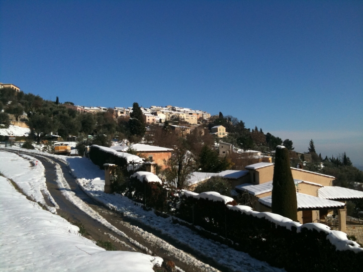 Cabris sous la neige