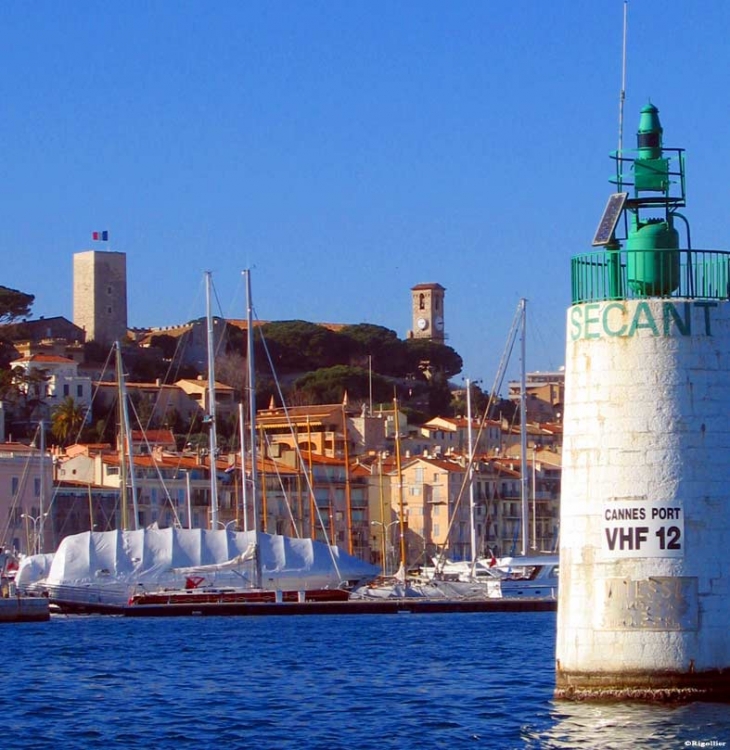 Le port - Cannes