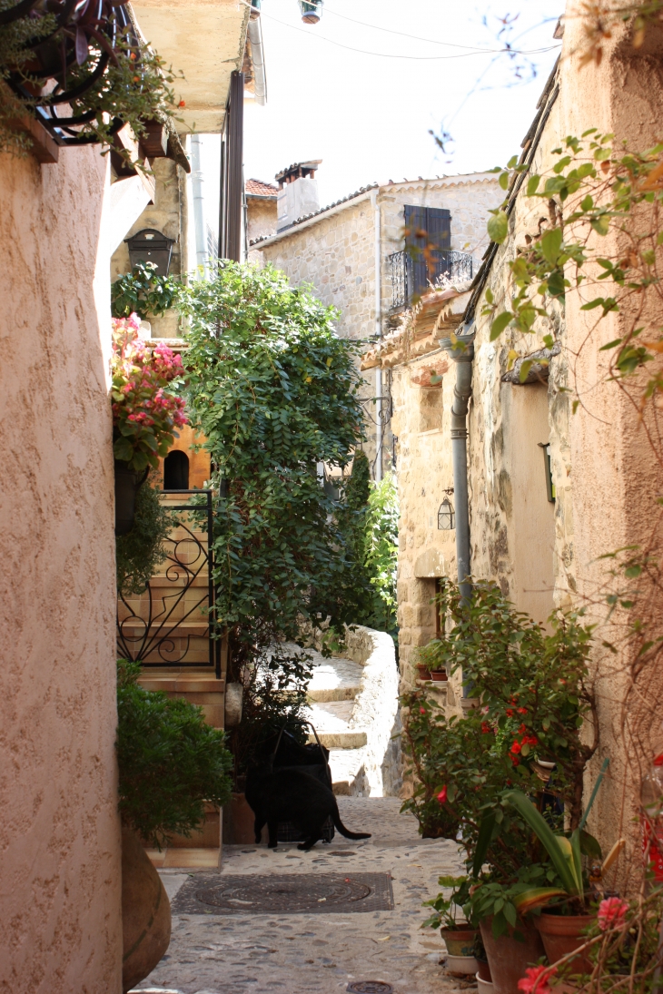 Ruelle de Coaraze