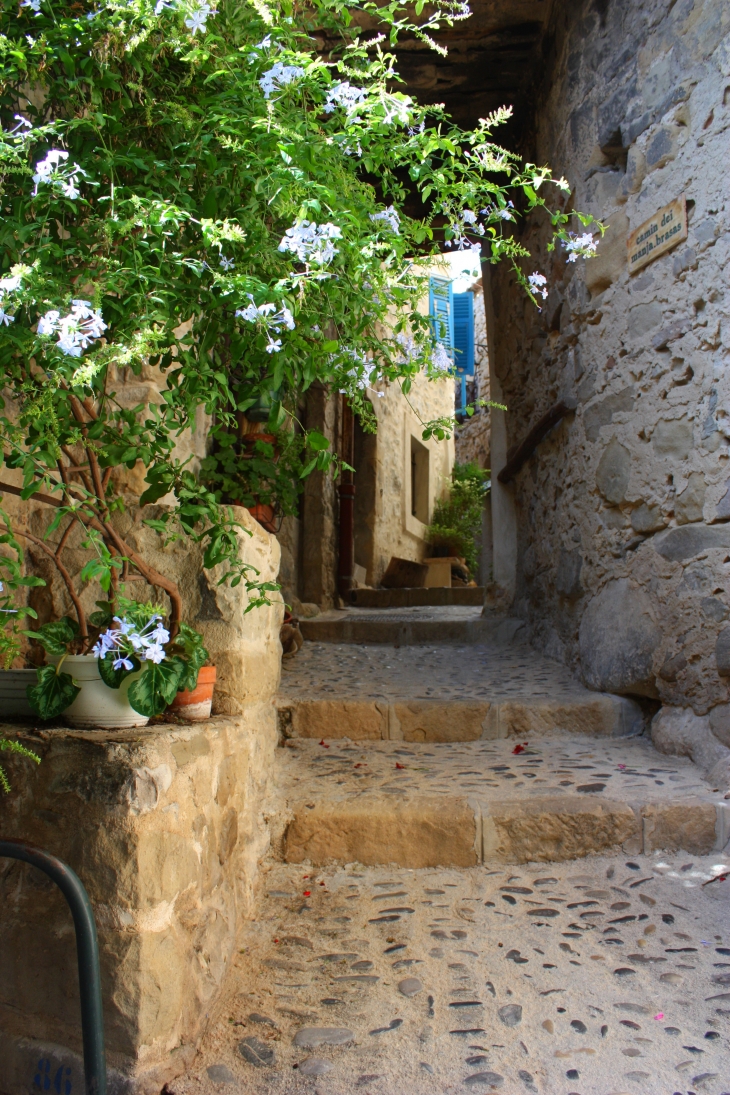 Ruelle de Coaraze