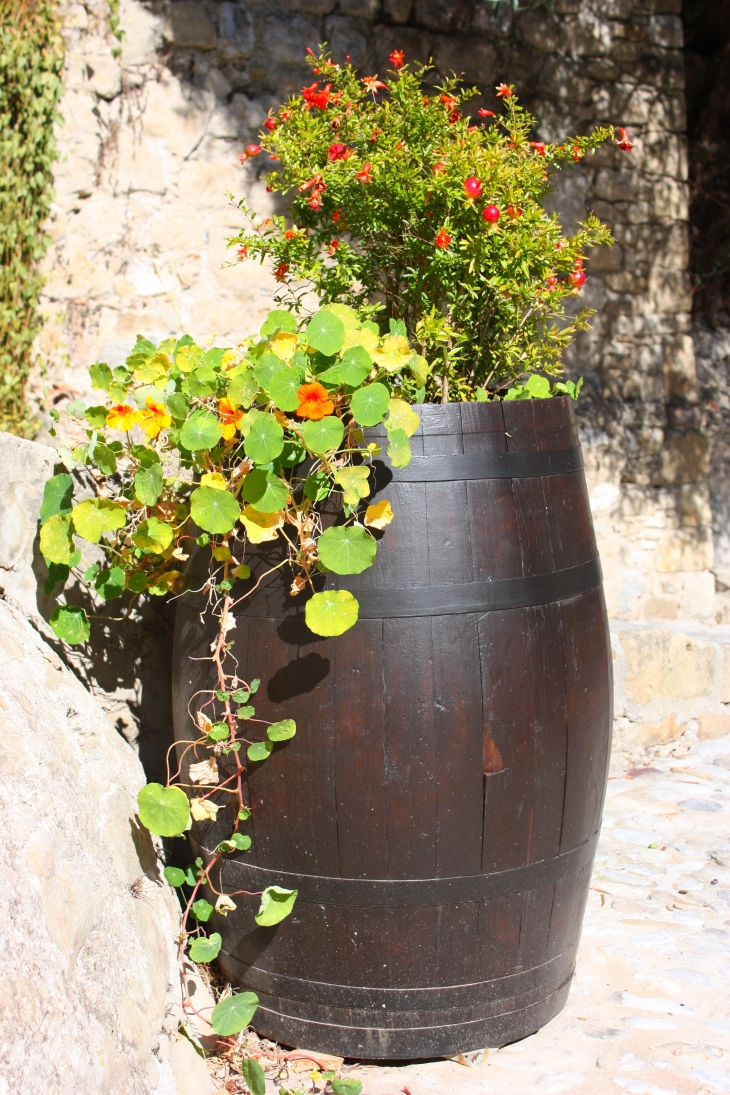 Dans une ruelle de Coaraze