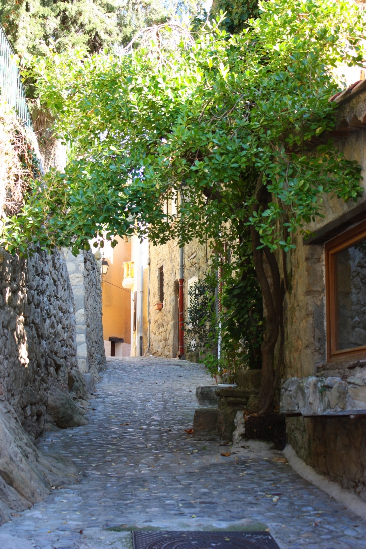 Ruelle de Coaraze