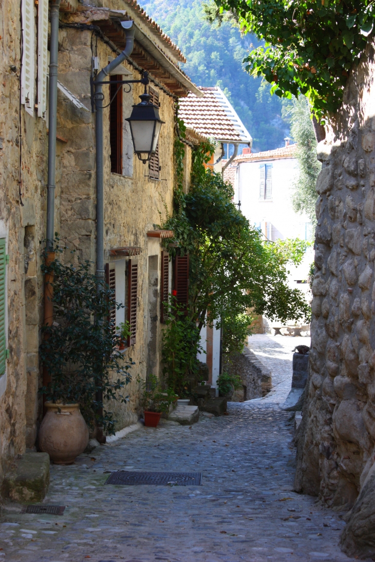 Ruelle de Coaraze