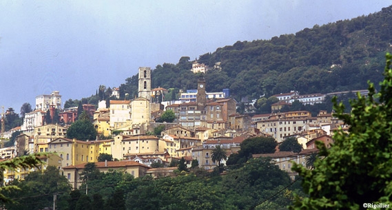 Grasse