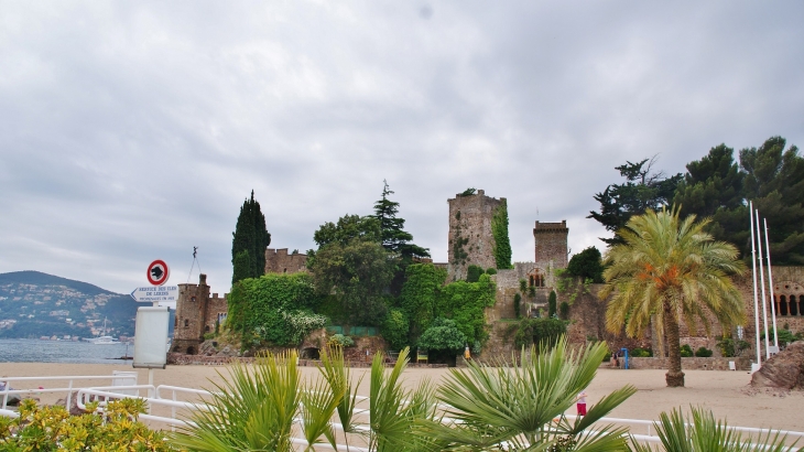 La Napoule ( Le Château ) - Mandelieu-la-Napoule