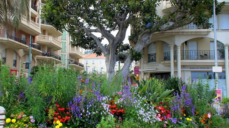 MENTON BORD DE MER