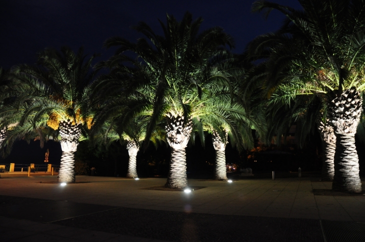 Square Elysée Reclus - Menton