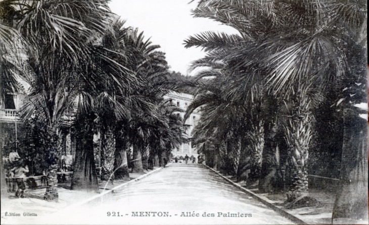Allée des Palmiers, vers 1920 (carte postale ancienne). - Menton