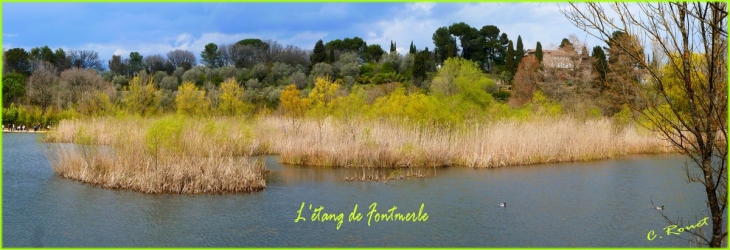 L'étang de fontmerle - Mougins