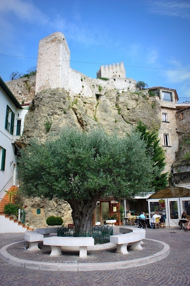 Placette à Roquebrune cap Martin  - Roquebrune-Cap-Martin