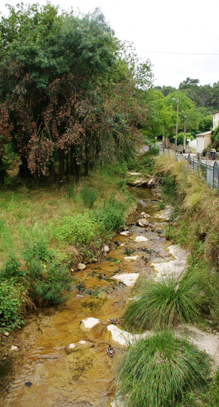 Le Foulon - Roquefort-les-Pins