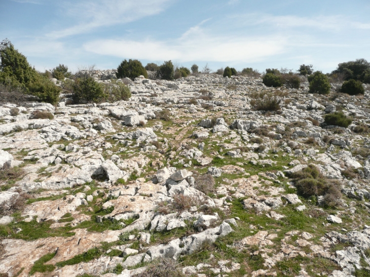 Au smmet du Baou - Saint-Jeannet