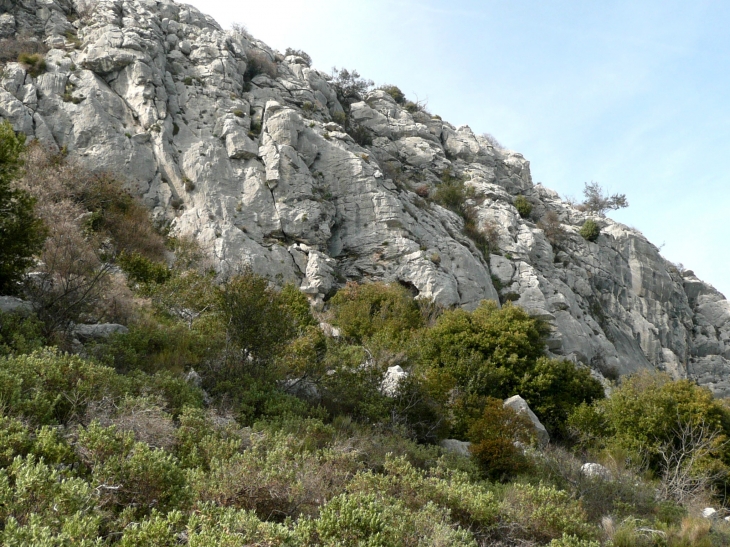 En montant vers le Baou - Saint-Jeannet